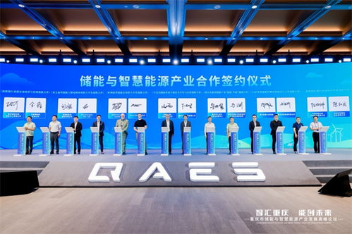 智汇重庆 能创未来 壳牌携手清安发布全球首款直冷浸没储能系统，引领储能技术革新